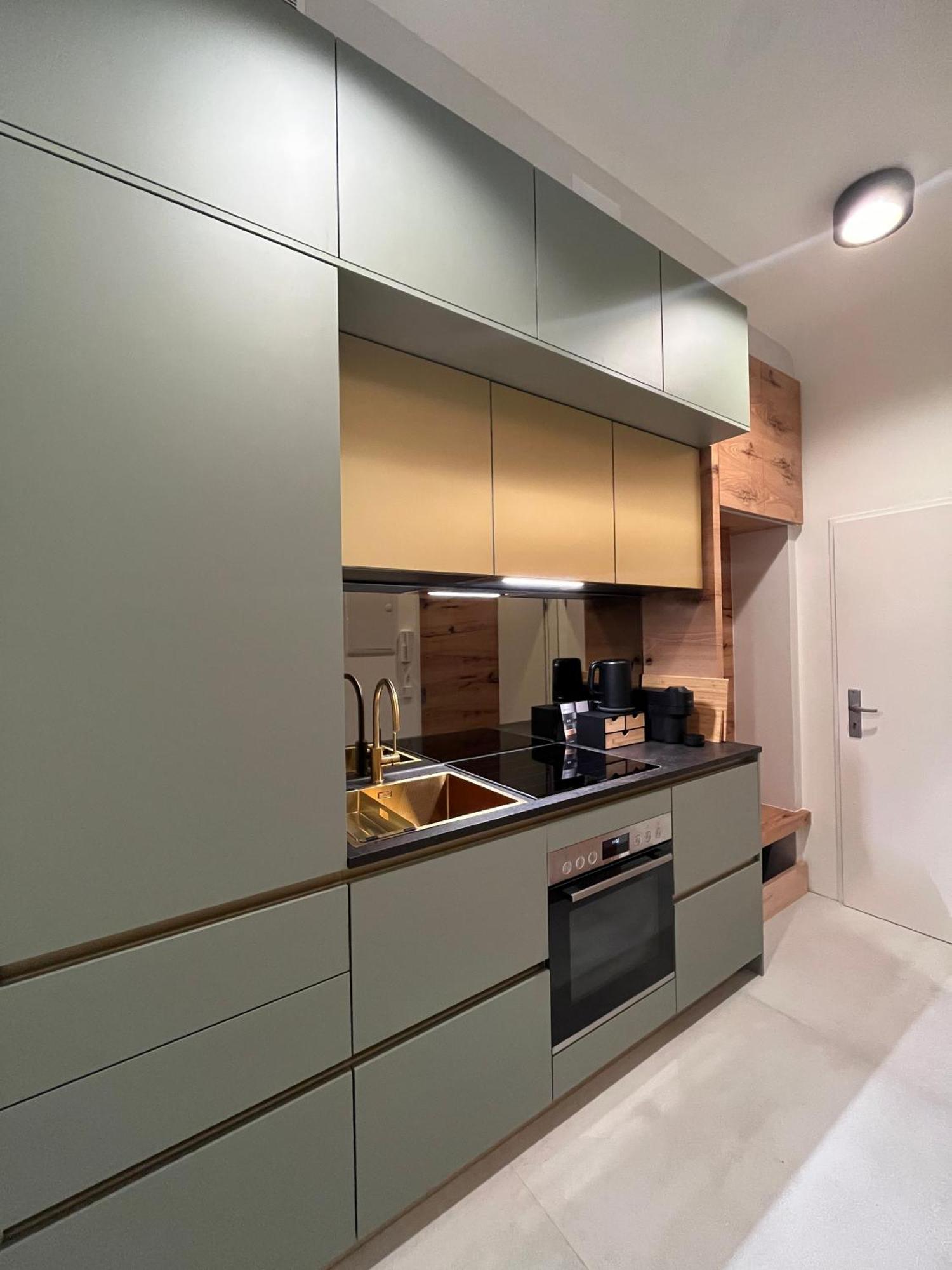 וינה Luxurious One Room Apartment Near Schoenbrunn Palace מראה חיצוני תמונה