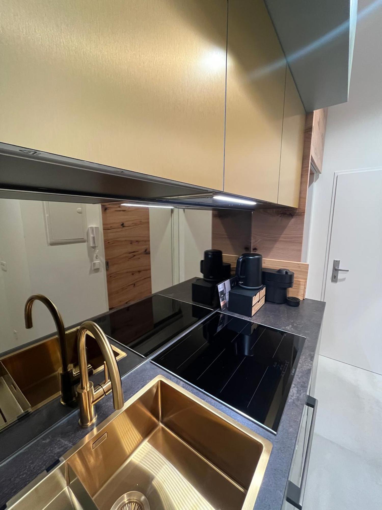 וינה Luxurious One Room Apartment Near Schoenbrunn Palace מראה חיצוני תמונה