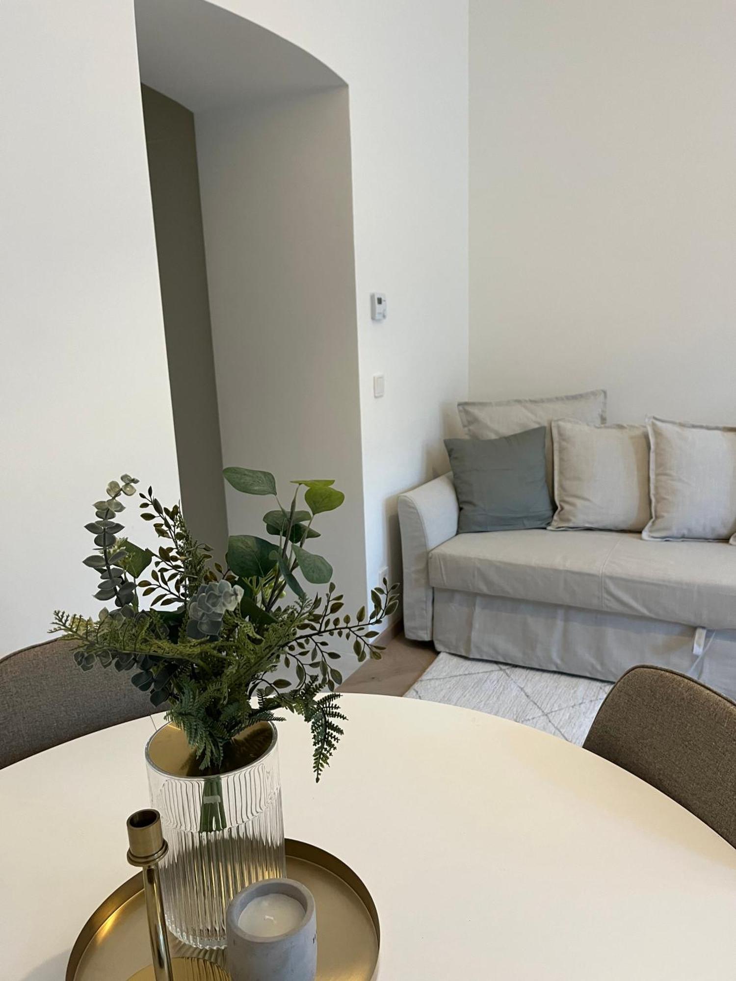 וינה Luxurious One Room Apartment Near Schoenbrunn Palace מראה חיצוני תמונה